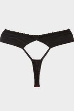 Scarlet Webutant Panty [PLUS] -Gothic Wear Store ScarletWebutantPantyPLUS G